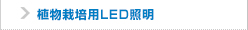 植物栽培用LED照明